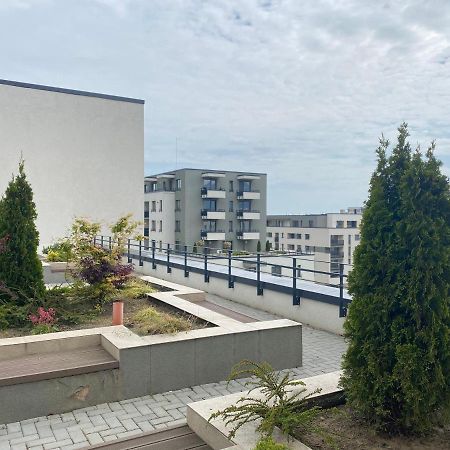 Astoria Apartment - Pet Friendly Brașov Exterior foto