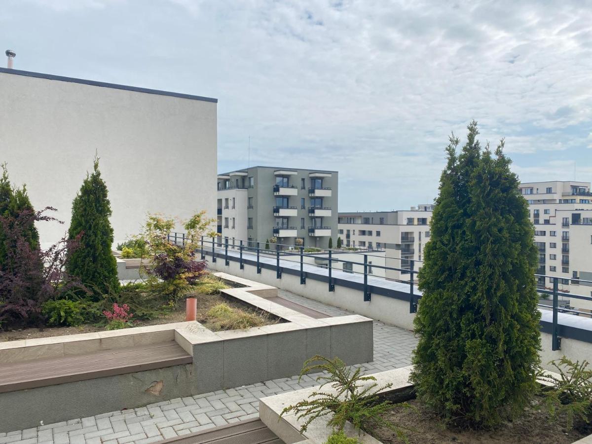 Astoria Apartment - Pet Friendly Brașov Exterior foto